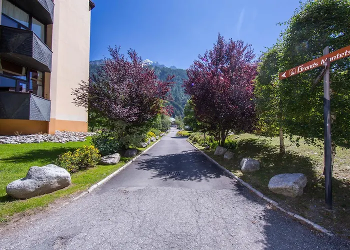 Grand Roc - Campanules 125 Happy *