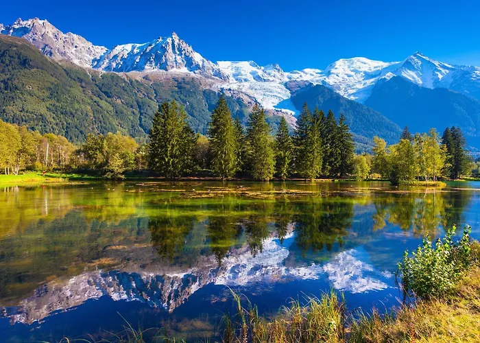 Grand Roc - Campanules 125 Happy *